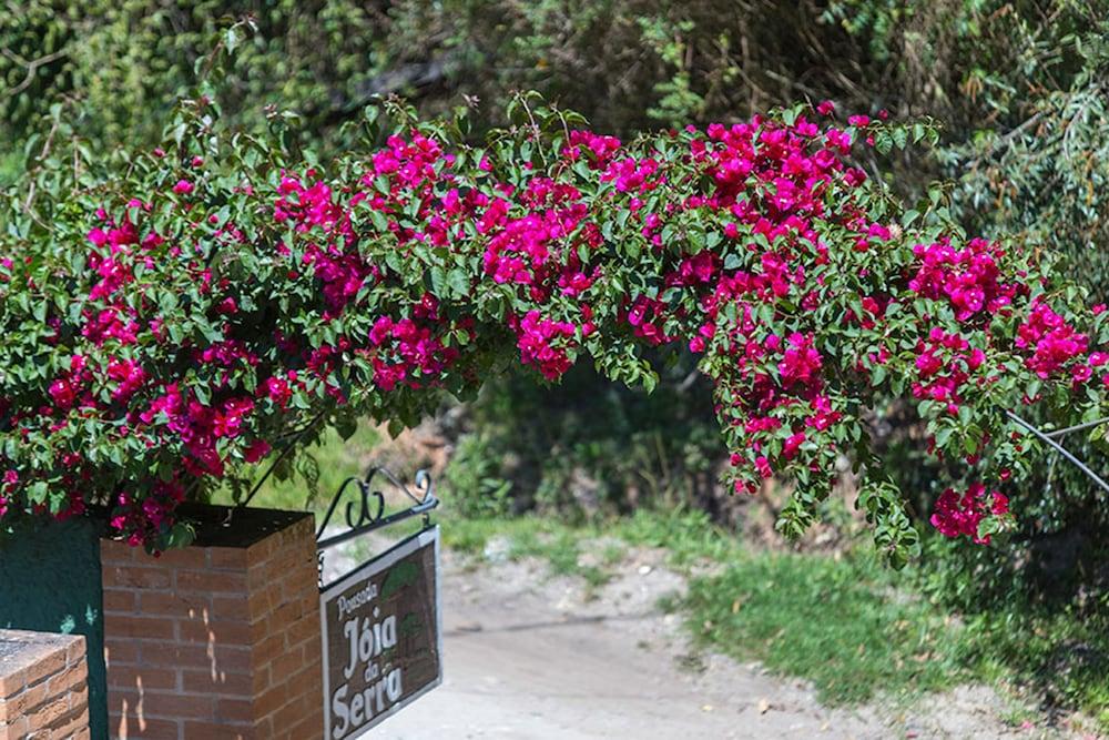 Pousada Joia Da Serra By Hotel Platanus Campos do Jordao Ngoại thất bức ảnh